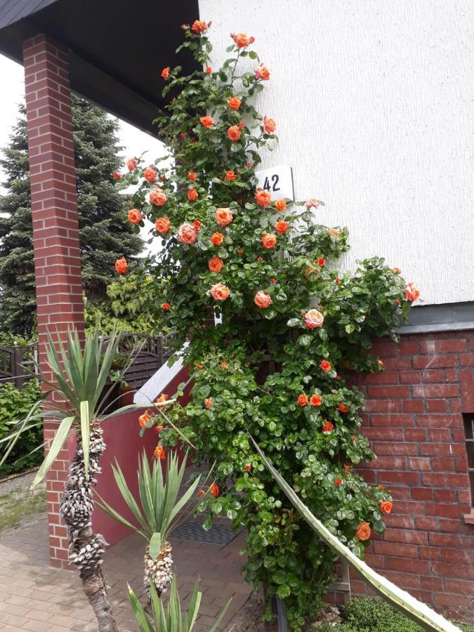 Das Besondere Quartier In Berlin Pankow Exterior foto